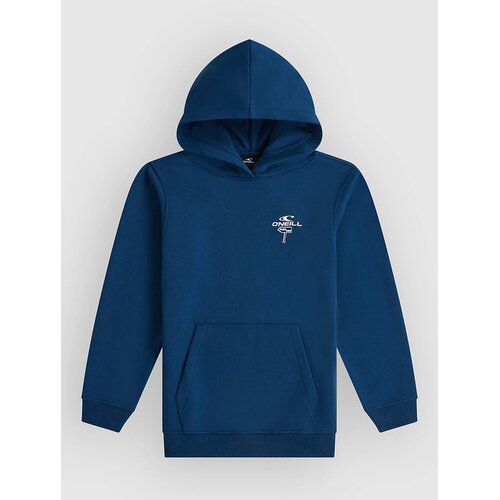 O&amp;#039;neill Back Print Kids Hoodie regal blue Slike