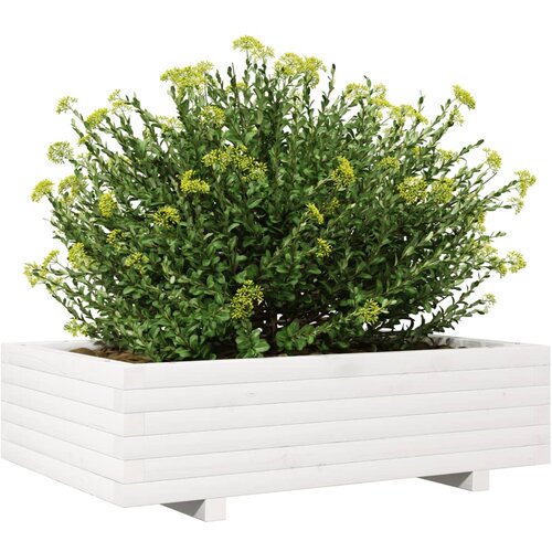  Vrtna sadilica bijela 90 x 60 x 26,5 cm od masivne borovine Slike
