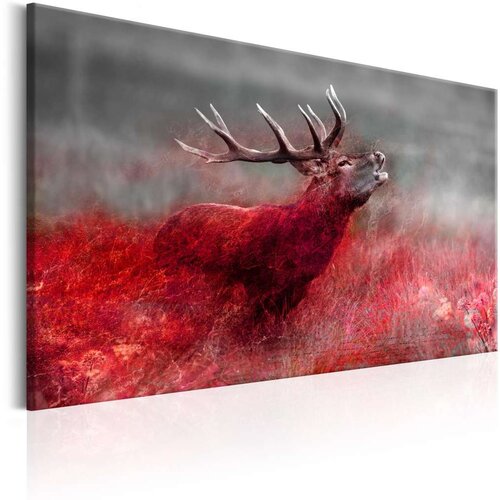  Slika - Bloody Field 120x80 Slike