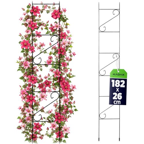 KADAX Vrtna pergola, opora za rože, kovinska za rože, vrtnice, 180 cm, lestev, (5000361281) Slike