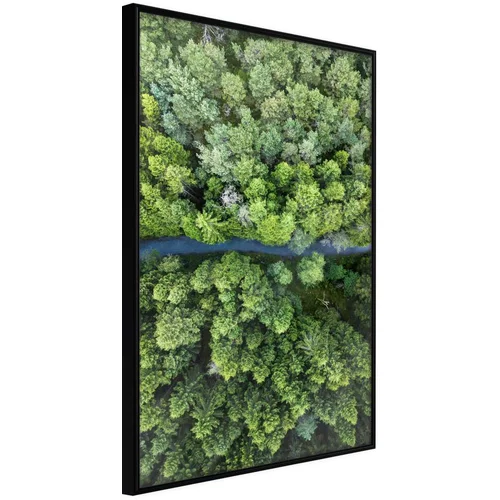  Poster - Forest from a Bird's Eye View 40x60