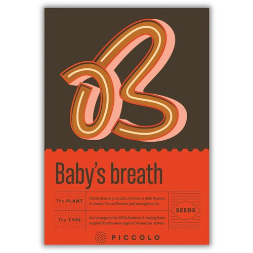 Piccolo Seeds B - Baby's breath - sadrenka - 1 pkt. Cene
