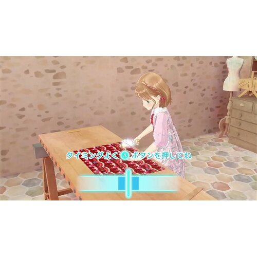 Imagineer Magical Craft: My Enchanted Dress Shop (Nintendo Switch) Cene