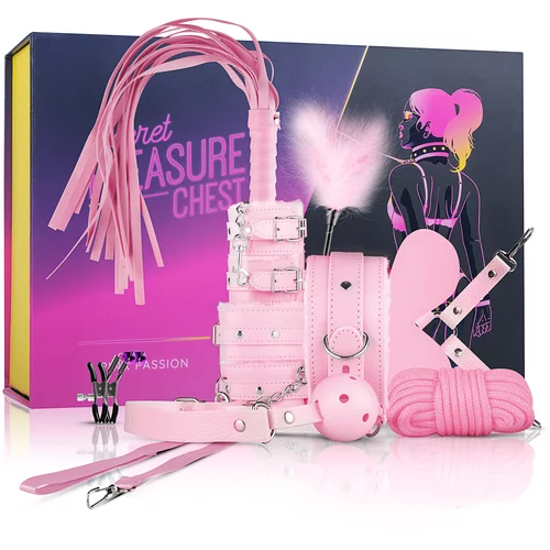 Secret Pleasure Chest komplet - Pink Pleasure