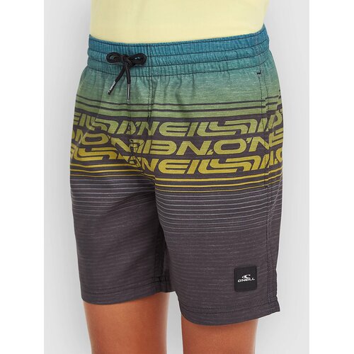 O'neill Logo Stripe Kids Boardshorts boys blue heritage oneill Cene