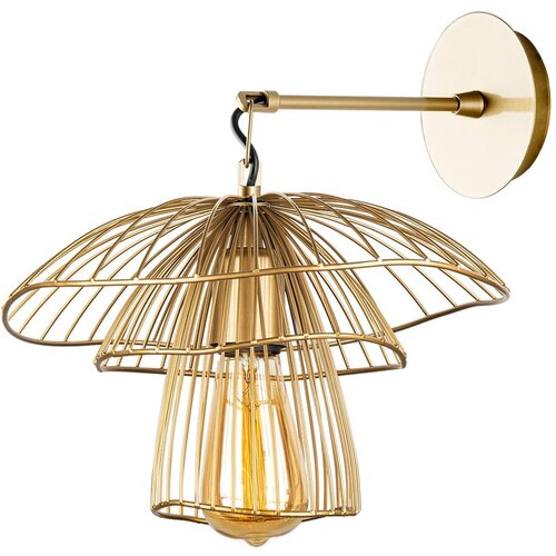 Squid Lighting Stenska svetilka v zlati barvi Root, višina 36 cm Cene