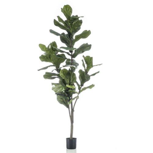 Emerald umjetni lirasti fikus 160 cm Cijene
