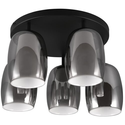Trio Select Crna/u srebrnoj boji stropna svjetiljka sa staklenim sjenilom &amp;oslash; 14 cm Barret &amp;ndash; Slike