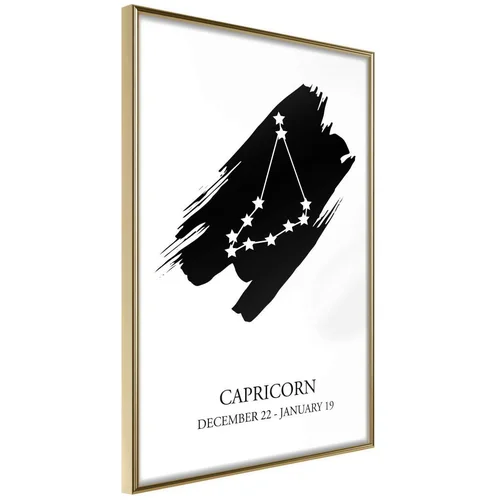  Poster - Zodiac: Capricorn I 20x30