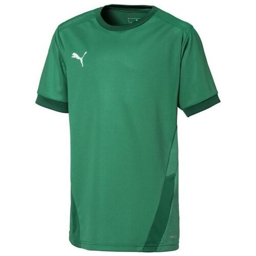 Puma Teamgoal 23 Jersey Zelena Slike