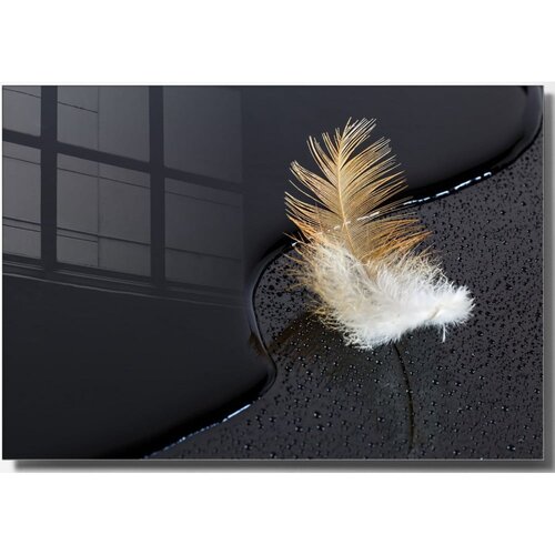 Wallity Steklena slika 100x70 cm Feather &amp;ndash; Wallity Slike