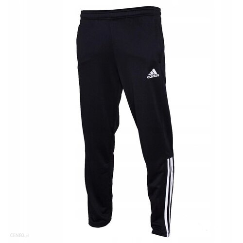 Regista 18 training pants outlet