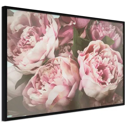  Poster - Pastel Peonies 30x20