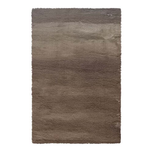 Master Tepih dekorativni krzno 160x230cm SS751CF bež Cijene