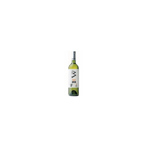 Virtus pinot grigio belo vino 750ml staklo Slike