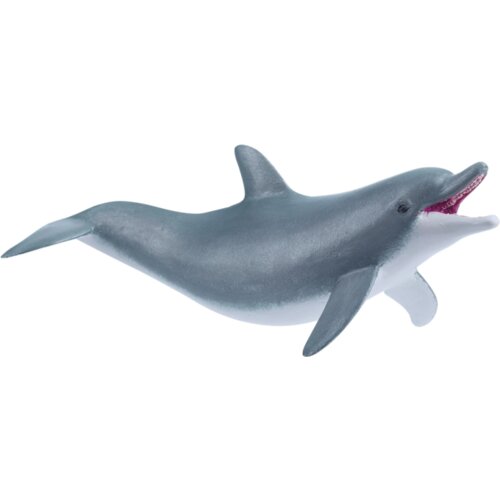 Papo morske živali Igrivi delfin Slike