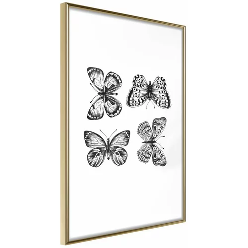  Poster - Butterfly Collection III 30x45