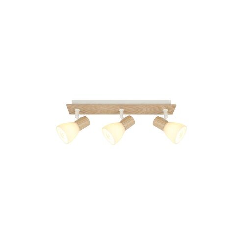  Forma Spot lampa FE406-3 WH+WD Slike