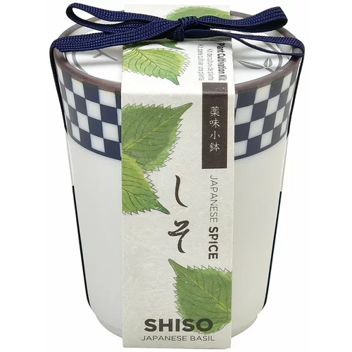 Noted Set za uzgoj biljaka Yakumi, Shiso, Japanese Basil