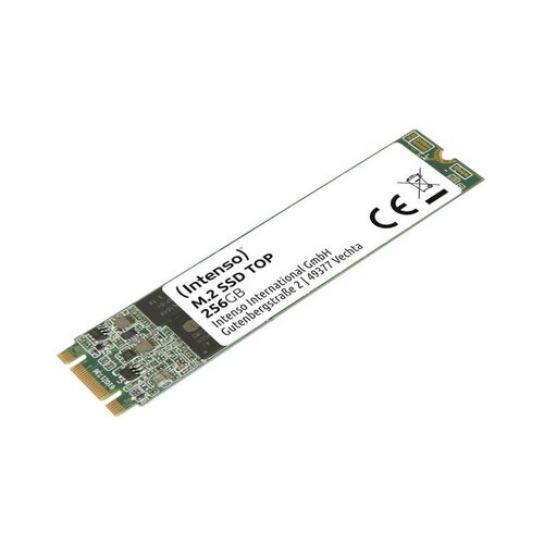 Intenso SSD M.2 2280, kapacitet 256 GB - SSD M.2SATA III 256GB/Top, Sivi Cijene
