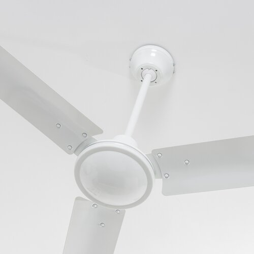  ZEVENTI - Plafonski ventilator TOFINO, beo Slike