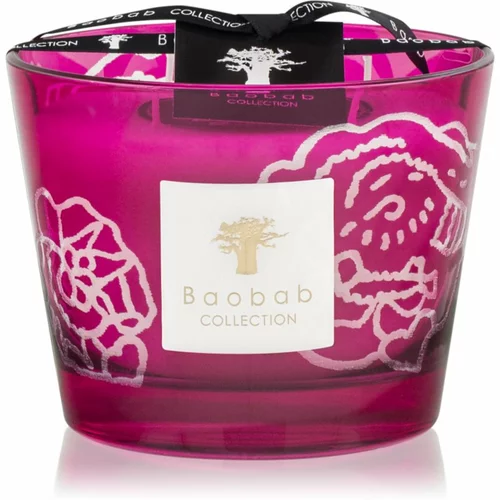 Baobab Collection Collectible Roses Burgundy dišeča sveča 10 cm