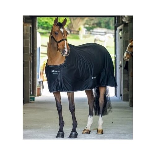 Bucas Power Cooler "Black/Silver" - 155 Cene