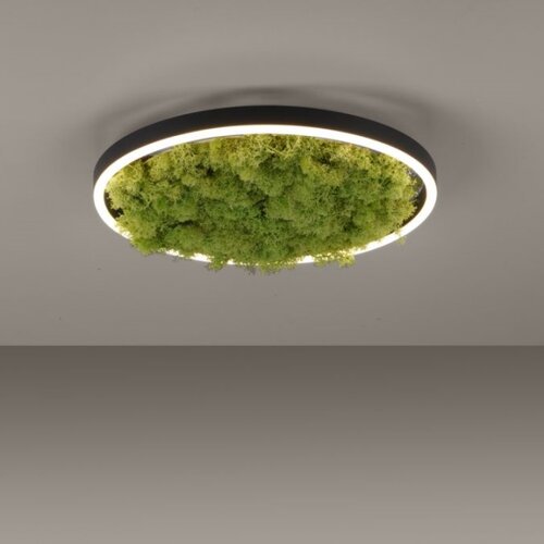 Just LIGHT. 15391-66 - LED prigu&amp;scaron;iva stropna svetiljka GREEN RITU LED/20W/230V Slike
