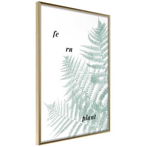  Poster - Pale Green Fern 40x60 Slike