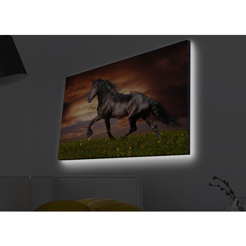 Opviq slika na platnu sa LED osvetljenjem 45x70cm Cene