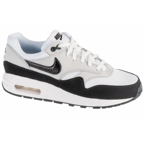 Nike air max 1 bg gs dz3307-106 Cijene