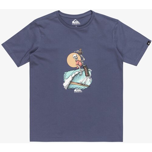 Quiksilver Boys' T-shirt NEVERENDING SURF Cijene