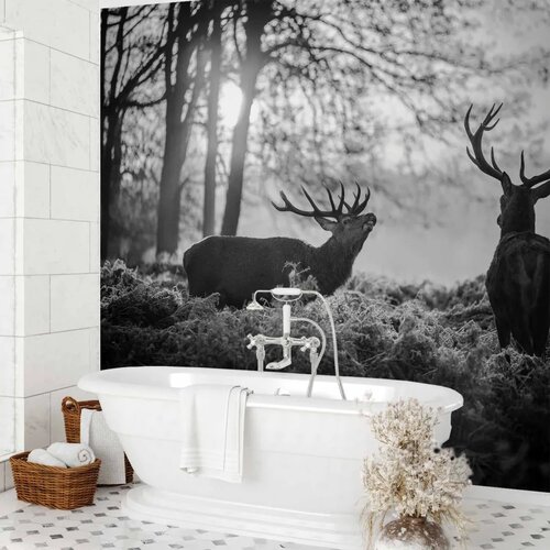  Foto tapeta - Deers in the Morning 450x315 Vodootporna Cene