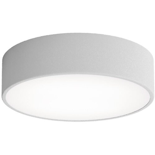  LED plafonsko svetlo CLEO, 24W, 230V, 4000K, prečnik 30 cm, sivo Cene