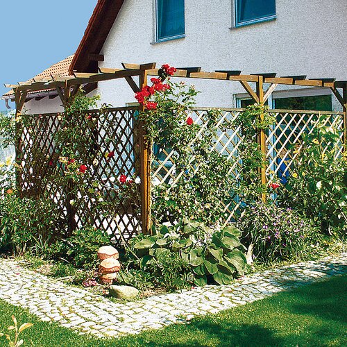 X opora za rastline (100 180 cm, les) Slike