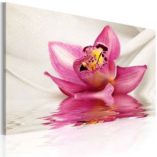  Slika - Unusual orchid 60x40 Cijene