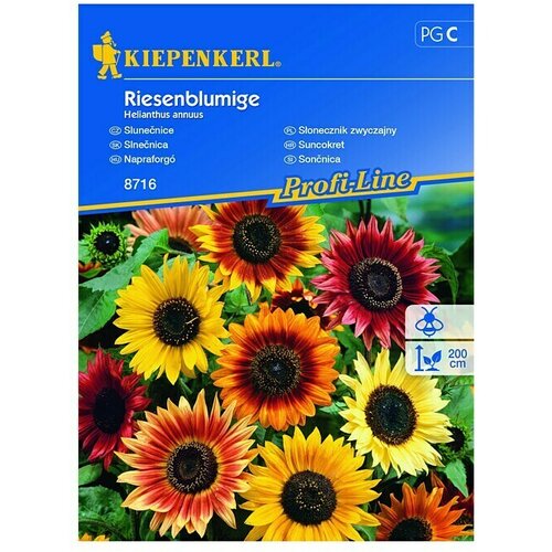 KIEPENKERL Sjeme cvijeća Suncokret Riesenblumige (Helianthus annuus, Raznobojno) Cene