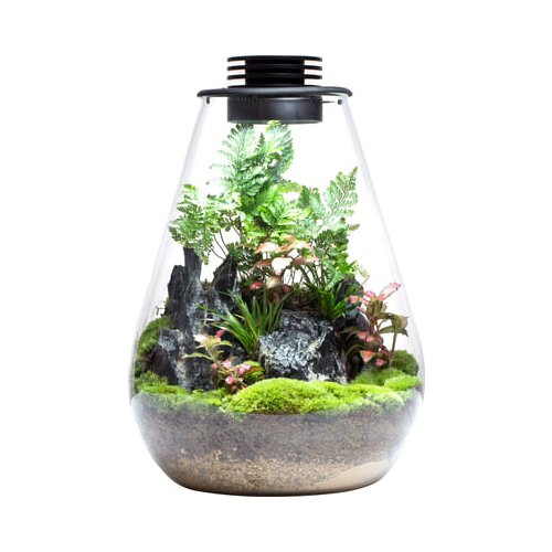 Bioloark Bio Bottle model SD - 175 Cene