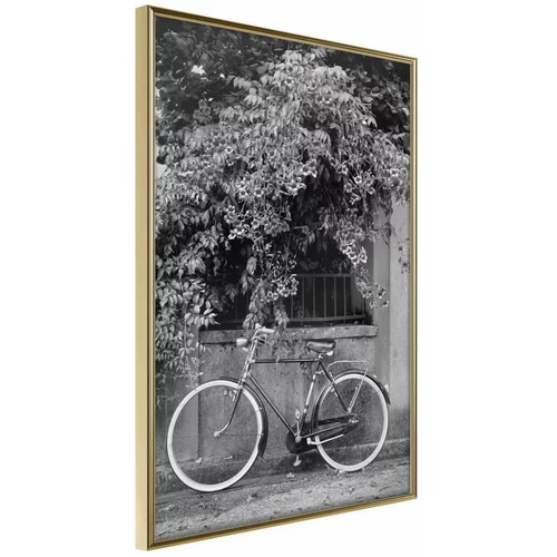  Poster - Bicycle with White Tires 40x60