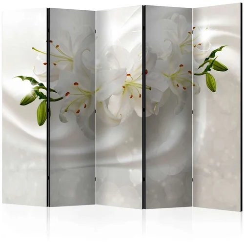  Paravan u 5 dijelova - Romantic Glow II [Room Dividers] 225x172