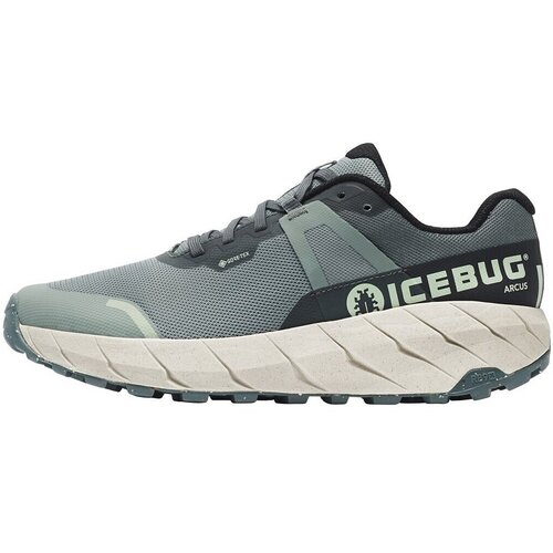 Icebug Arcus Rb9x Gtx sarena Cijene