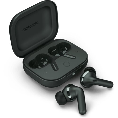Motorola buds+ (flavta) gozdno siva Cene