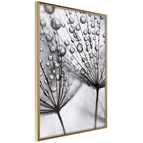  Poster - Dew in the Macro Scale 20x30 Cijene