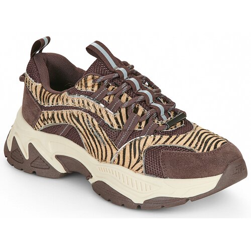 Steve Madden Nizke superge ANIMATES LE Kostanjeva Slike