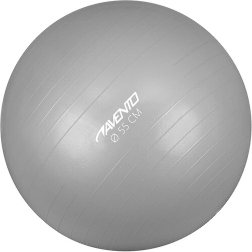 Avento Fitnes žoga / gimnastična žoga premer 55 cm srebrna, (20767040) Cene