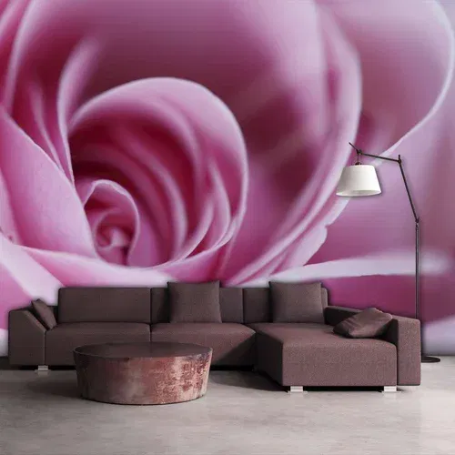  tapeta - Pink rose 250x193