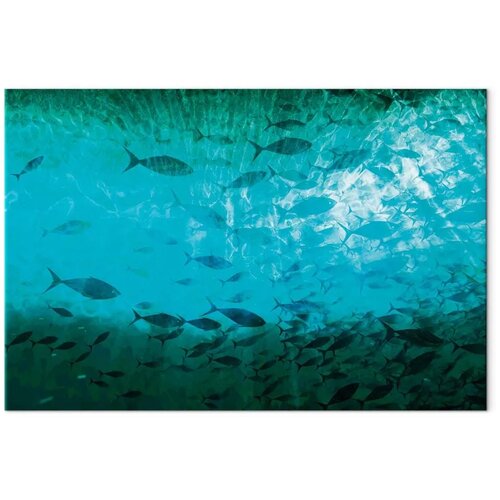  Slika - A shoal of dark fish 120x80 Standard Slike