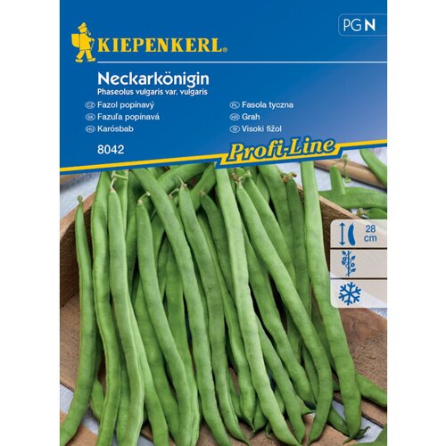 KIEPENKERL Sjeme povrća grah visoki Neckarkönigin (Phaseolus vulgaris var. vulgaris, Berba: Srpanj) Cijene