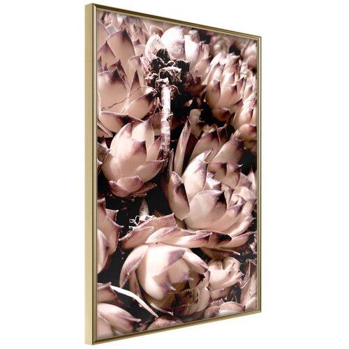  Poster - Autumnal Flowers 30x45 Cene