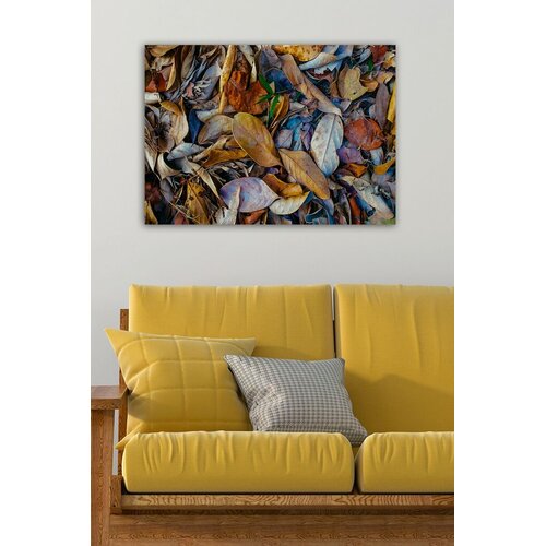Wallity Slika 1561813732, 50x70 cm Cene